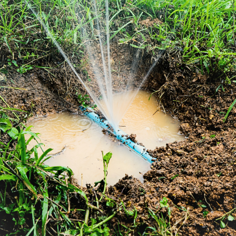 Burst Pipe 