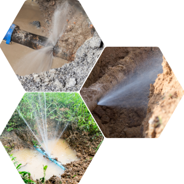 LeakInsight
