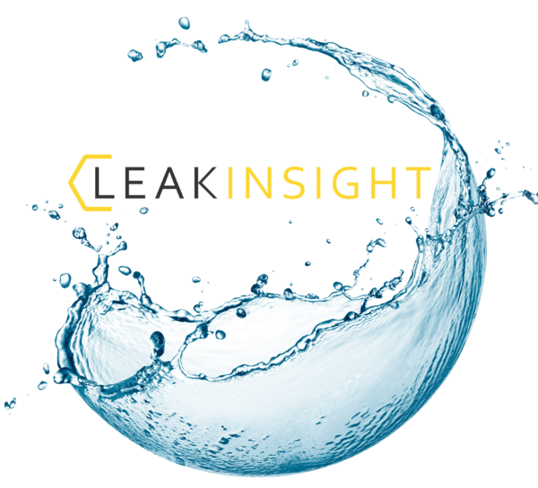 LeakInsight